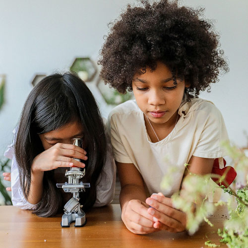 two girls sitting in front of desk one looks trough microscope